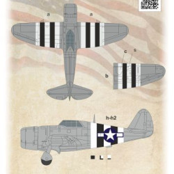 P-47D Razorback D-Day Invasion Stripes 144-025 1/144