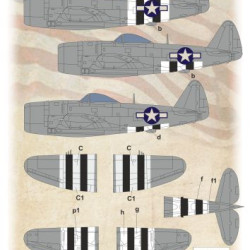P-47D Bubbletop D-Day Invasion Stripes 144-026 1/144