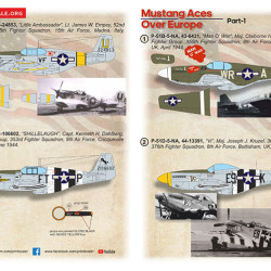 Mustang Aces Over Europe Part 1 /48-320/  Scale 1/48