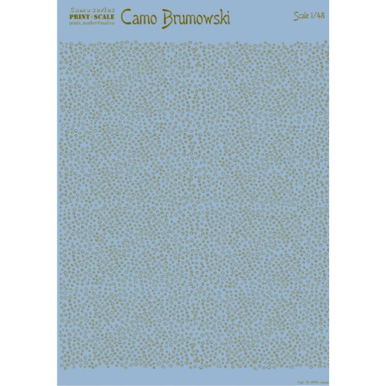 Camo Brumowski 008-camo Scale 1:48