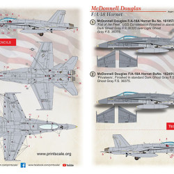 Mc Donnel Douglas Hornet F/A-18 Part-1 48-259 Scale 1:48