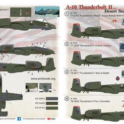 A-10 Thunderbolt II Desert Storm. Part 1 48-210 Scale 1/48