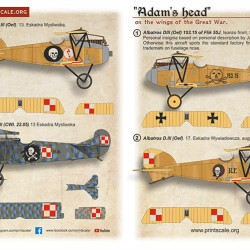 Adam's Head on the Wings of the Great War Part 1/48-250 - Albatros Dlll (Oef) 153.15, Scale 1/48