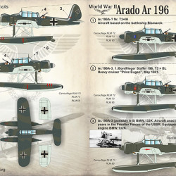 Arado Ar 196 48-136 Scale 1/48