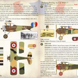 Balloon-Busting Aces of WW I Part 2 - France 72-225 Scale 1/72