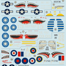 Curtiss P-40 N 72-175 Scale 1/72