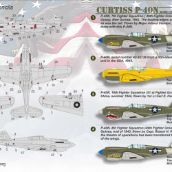 Curtiss P-40 N 72-175 Scale 1/72