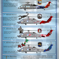 Family of "Hawks" of Sikorsky 72-017 Scale 1/72