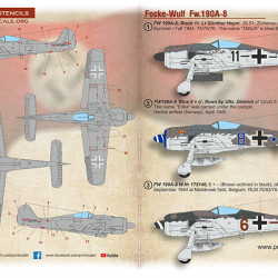 Focke-Wulf 190A-8 72-487 Scale 1/72