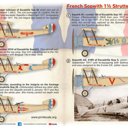 French Sopwith 1/2 Strutter 72-501 Scale 1/72