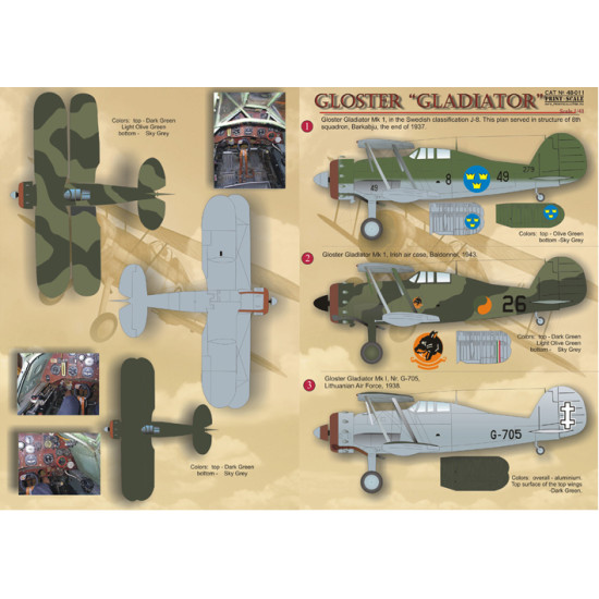 Gloster Gladiator 48-011 Scale 1/48