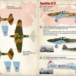 Ilyushin Il-2 72-306 Scale 1/72