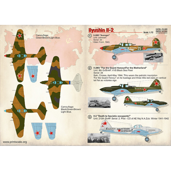 Ilyushin Il-2 72-306 Scale 1/72