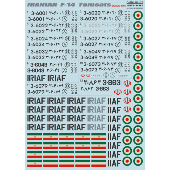 Iranian F-14 Tomcats 48-117 Scale 1/48