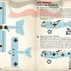 LFG Roland C.II/C.IIa Walfisch 72-251 Scale 1/72