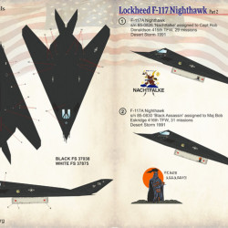 Lockheed F-117 Nighthawk Part-2 48-112 Scale 1/48