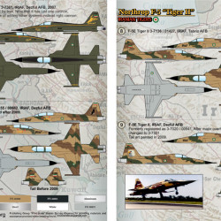 Northrop F-5 Tiger II 48-113 Scale 1/48