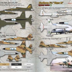 Northrop F-5 Tiger II 72-229 Scale 1/72