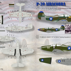 P-39 Airacobra 48-059 Scale 1/48