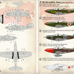 P-39 Aircobra Aces Part-1 48-172 Scale 1/48