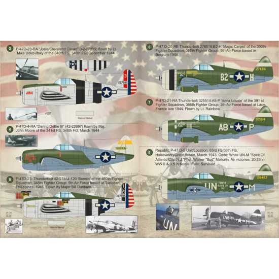 P-47-D Razorback Aces 72-173 Scale 1/72