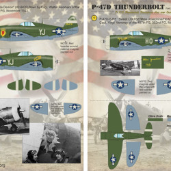 P-47D Thunderbolt 48-078 Scale 1/48