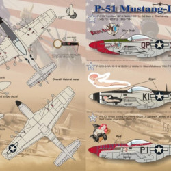 P-51 Mustang-D 72-039 Scale 1/72