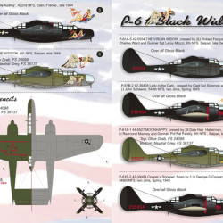 P-61 Black Widow Part 1 48-034 Scale 1/48