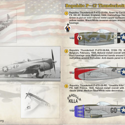 Republic P-47 Thunderbolt 144-005 Scale 1/144