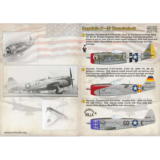 Republic P-47 Thunderbolt 144-005 Scale 1/144