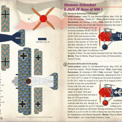 Siemens-Schuckert D.III/D.IV 72-264 Scale 1/72