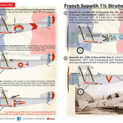 Sopwith 1 1/2 Strutter_decals Part 2 48-276 Scale 1/48