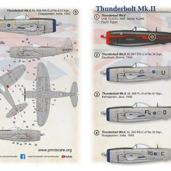 Thunderbolt Mk.II 72-449 Scale 1/72