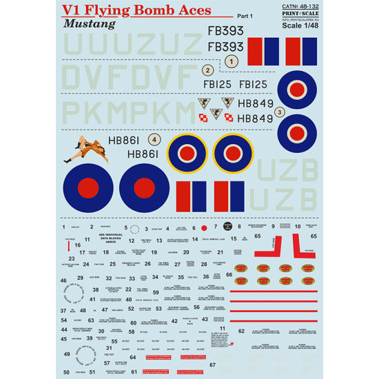 V1 Flying Bomb Aces Mustang 48-132 Scale 1/48